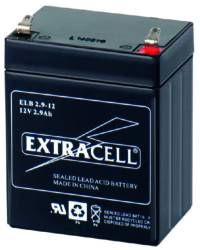 Batteria PB 12V 2,9 Ah EXTRACELL