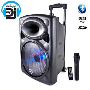 Cassa Acustica Amplificata con BT/FM/MP3 MyDeejay