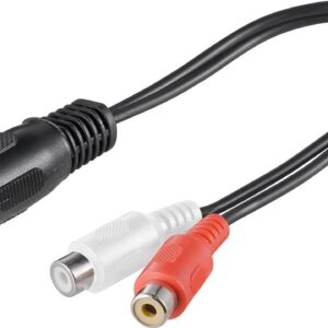 Adattatore DIN 5 poli 180° - 2 x Prese RCA - 0,20 mt