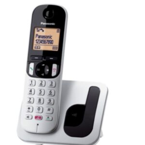 Cordless Panasonic KX-TGC250JTS Silver