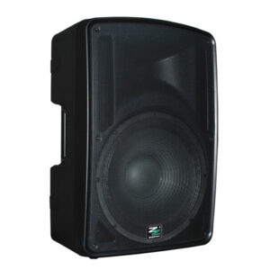 Cassa Acustica Amplificata 10" con BT/FM/MP3 ZZPK10