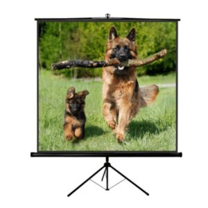 Telo per Videoproiettori - New Junior 180x180
