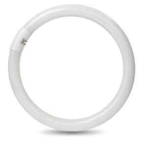 Circolina 40W trifosforo 6500°K