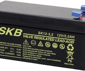 Batteria PB 12V 3,2 Ah SKB