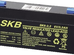 Batteria PB 6V 3,2 Ah SKB