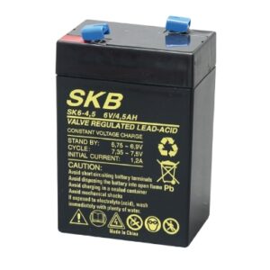 Batteria PB 6V 4,5 Ah SKB