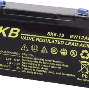 Batteria PB 6V 12 Ah SKB