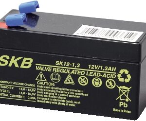 Batteria PB 12V 1,2 Ah SKB