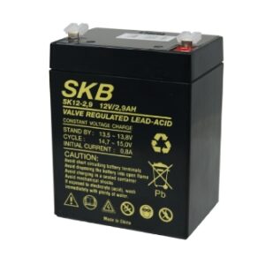Batteria PB 12V 2,9 Ah SKB