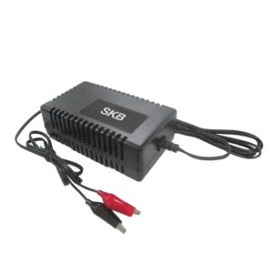 Caricabatterie per batterie al piombo 36V 2A
