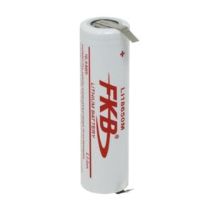 Batteria Li-ION 18650 FKB 3.7V 2900MA T.S.