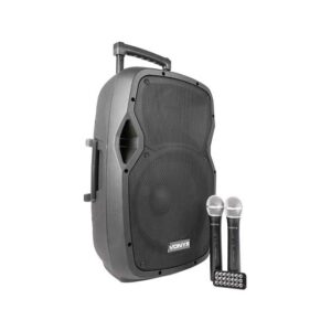 Cassa Acustica Amplificata 12" con BT/FM/MP3 e 2 x mic.